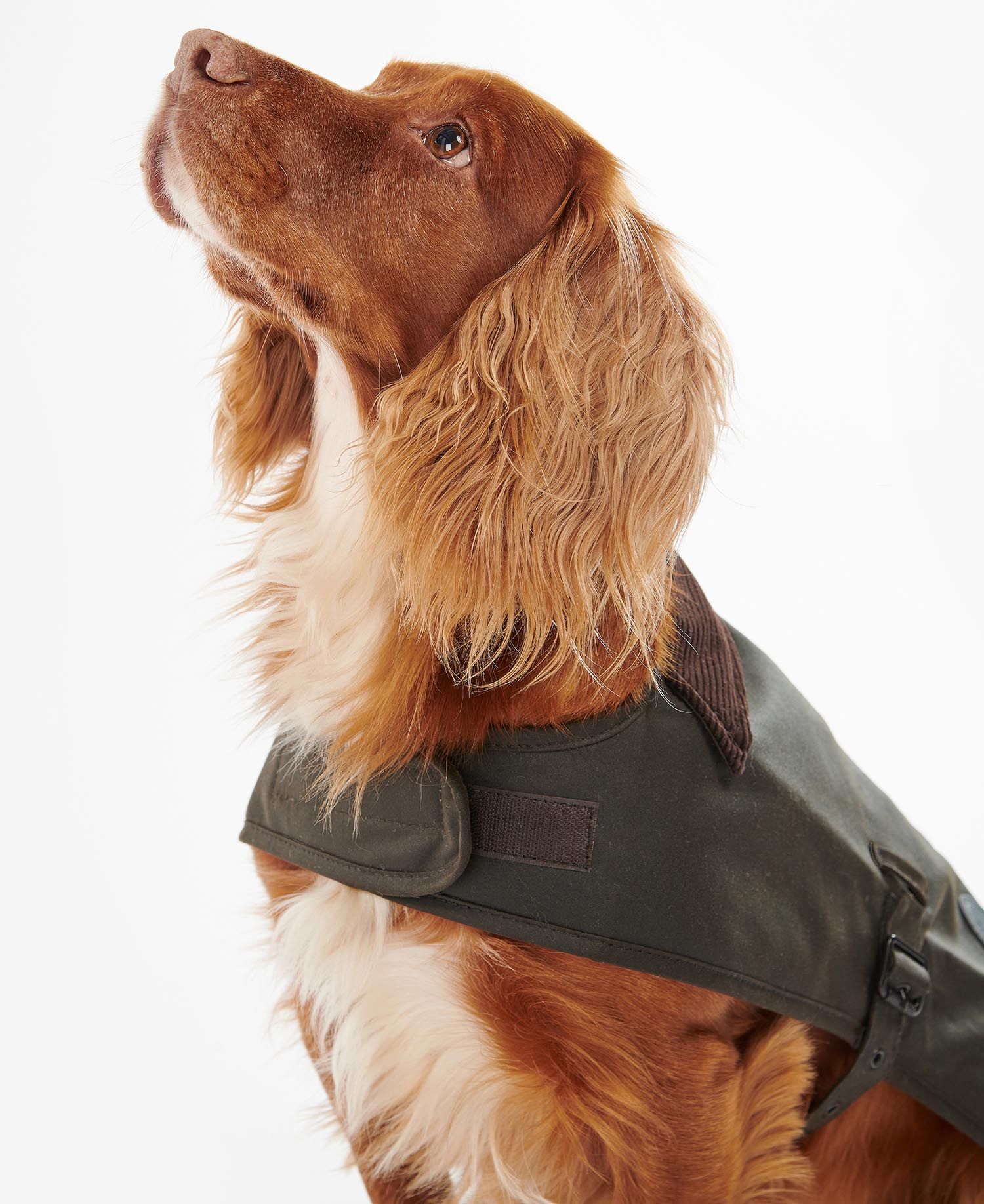 BARBOUR WAX DOG COAT DCO0003