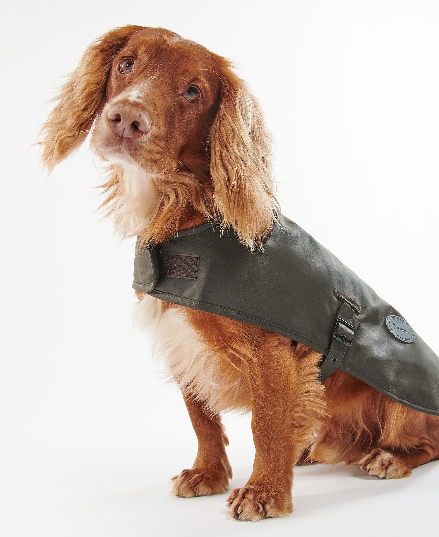 BARBOUR WAX DOG COAT DCO0003