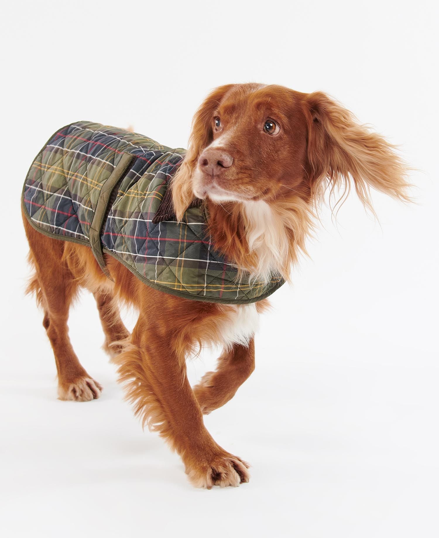 BARBOUR TARTAN DOG COAT DCO0005TN11