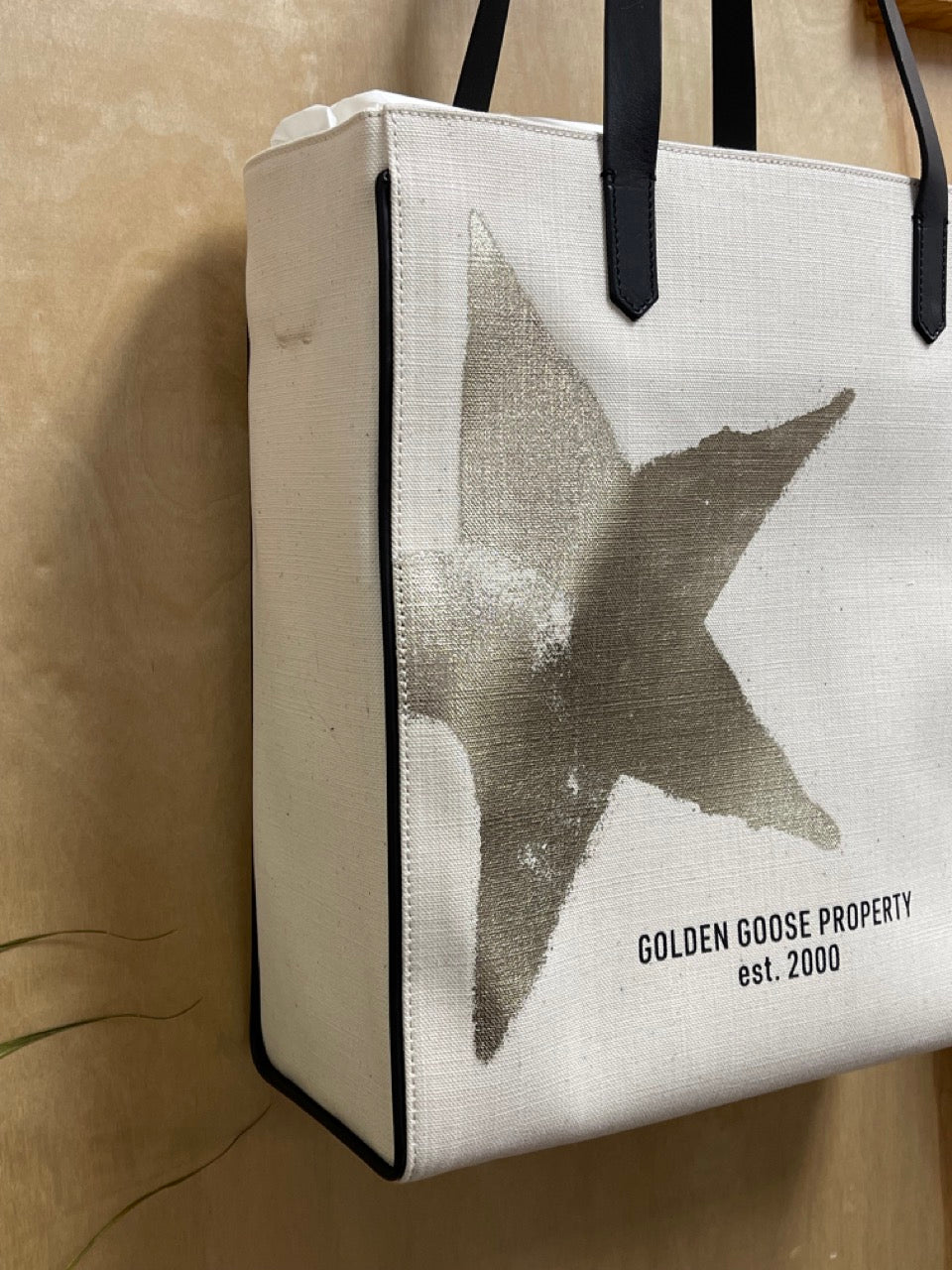 Golden Goose California Golden Star N-S Bag GWA00172