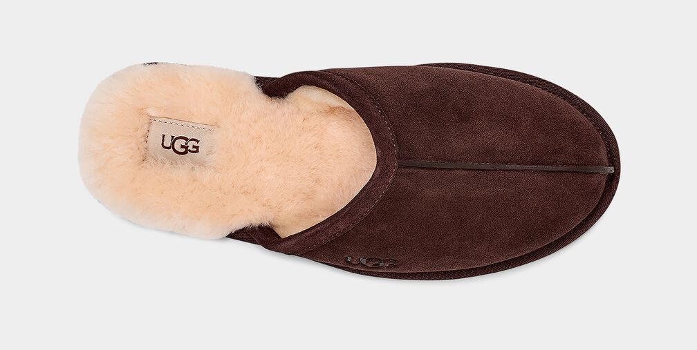 UGG Men's Scuff Slipper - Espresso