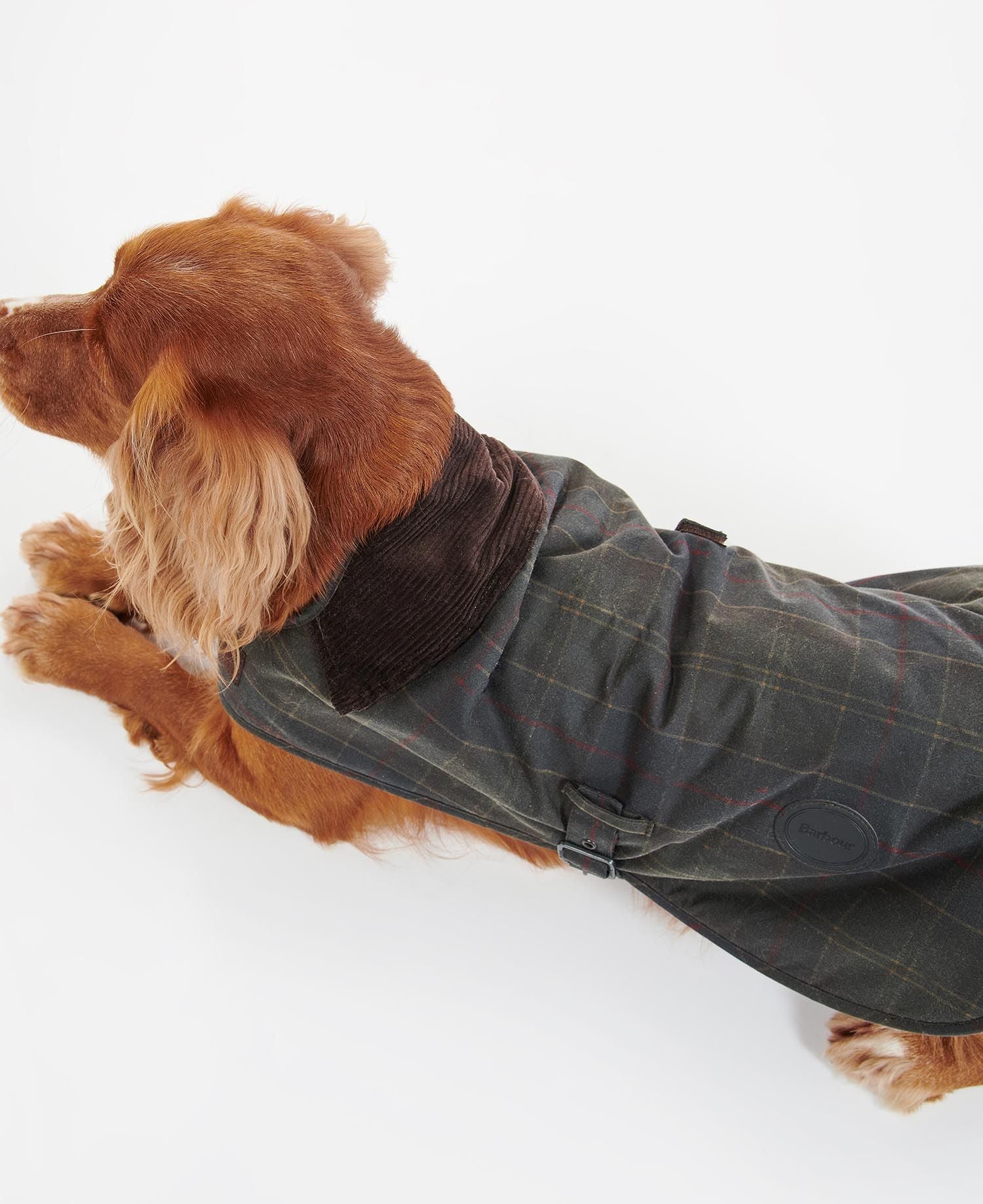 Barbour dog coat best sale tartan